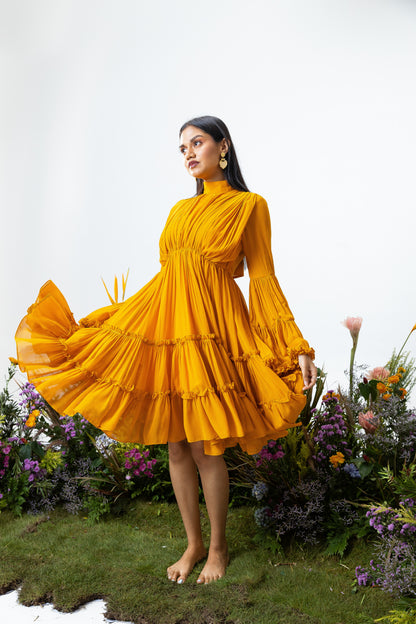 Blush Dress in Orange