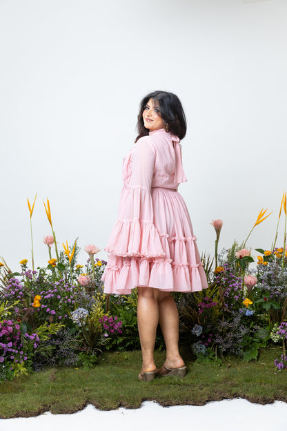Blush Dress in Pink