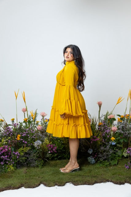Blush Dress in Yellow