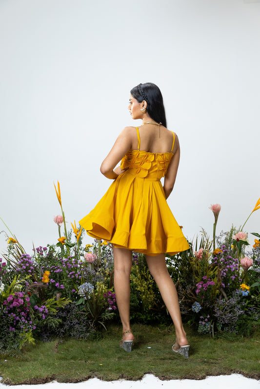 Aster Dress in Yellow