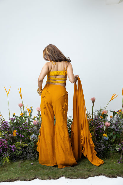 Carnation Asymmetric Pants in Orange